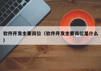 软件开发主要岗位（软件开发主要岗位是什么）