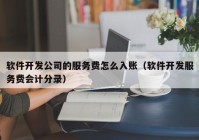 软件开发公司的服务费怎么入账（软件开发服务费会计分录）