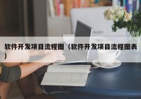 软件开发项目流程图（软件开发项目流程图表）