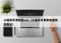 小程序开发教程vue（小程序开发教程视频百度云）