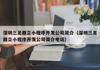 深圳三足鼎立小程序开发公司简介（深圳三足鼎立小程序开发公司简介电话）