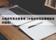 小程序开发注意事项（小程序开发需要哪些技术路线）