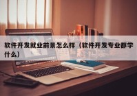 软件开发就业前景怎么样（软件开发专业都学什么）